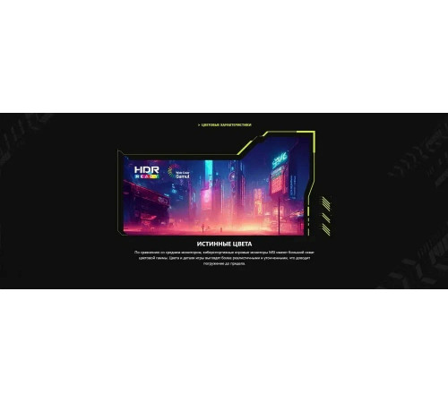 Монитор 25" 300Hz VA FHD MSI MAG 255XF