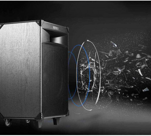 Колонки 1.0 Edifier PW312 караоке (2 микрофона)