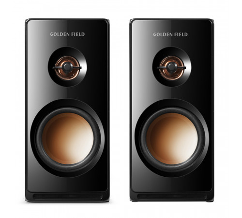 Колонки 2.0 Golden Field M102