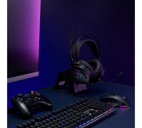 Наушники проводные ПК Rapoo VH120 3.5mm LED