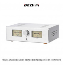 Усилитель звука BRZHIFI STK443 2.0 HI-FI